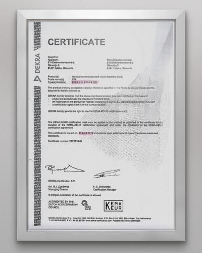 DEKRA EFI4 BS EFI4 G K